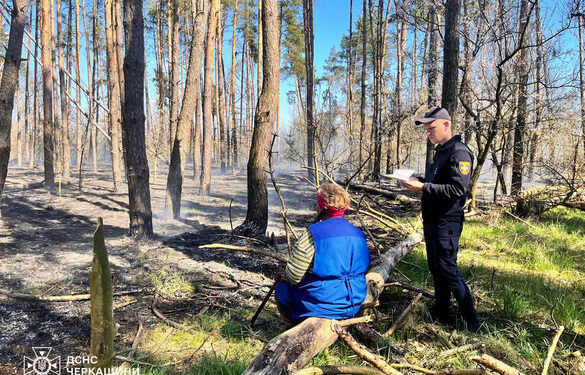 Сплатять штраф: на Черкащині борються із паліями трави