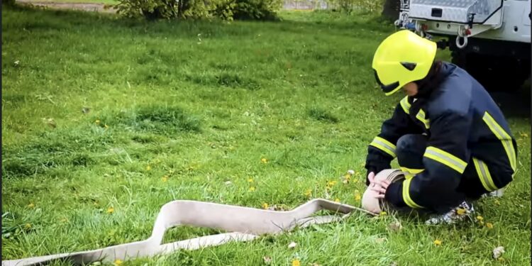 У ДСНС показали, як тренуються жінки-рятувальниці