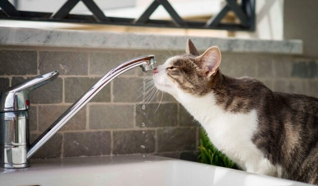 У Калуші повідомили про аварійну зупинку водопостачання на кількох вулицях