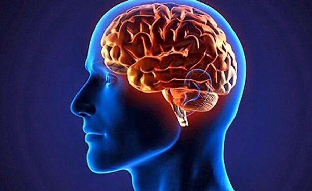 У молодшого покоління людей об’єм мозку виявився більшим – Экономика