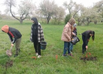 У селі висадили дубовий гай із жолудів Шевченкового дуба — Новости Черкасс