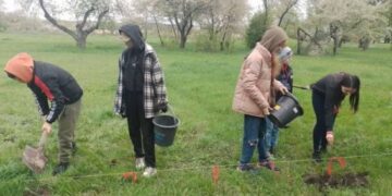 У селі висадили дубовий гай із жолудів Шевченкового дуба — Новости Черкасс