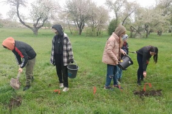 У селі висадили дубовий гай із жолудів Шевченкового дуба — Новости Черкасс
