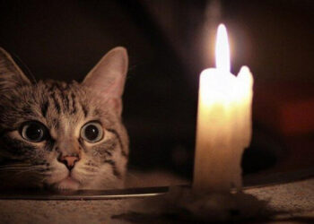 У Запоріжжі не буде світла 17 квітня – за якими адресами буде відсутня електроенергія | Новости Запорожья