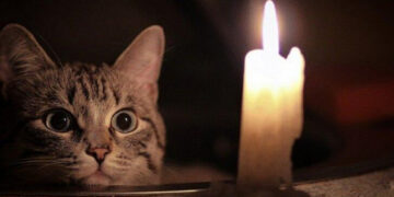 У Запоріжжі не буде світла 17 квітня – за якими адресами буде відсутня електроенергія  | Новости Запорожья