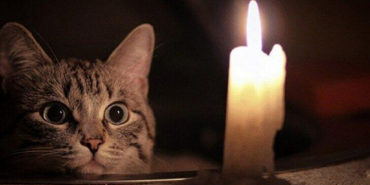 У Запоріжжі не буде світла 17 квітня – за якими адресами буде відсутня електроенергія | Новости Запорожья