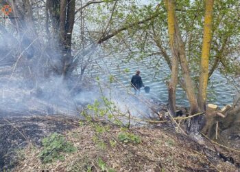 Уманчанин сплатить штраф за спалювання трави