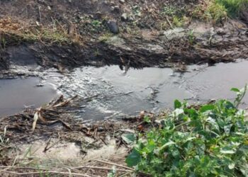 В Акермані стічні води забруднили декілька гектарів землі (фото) – Новини Одеської області