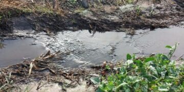 В Акермані стічні води забруднили декілька гектарів землі (фото) – Новини Одеської області