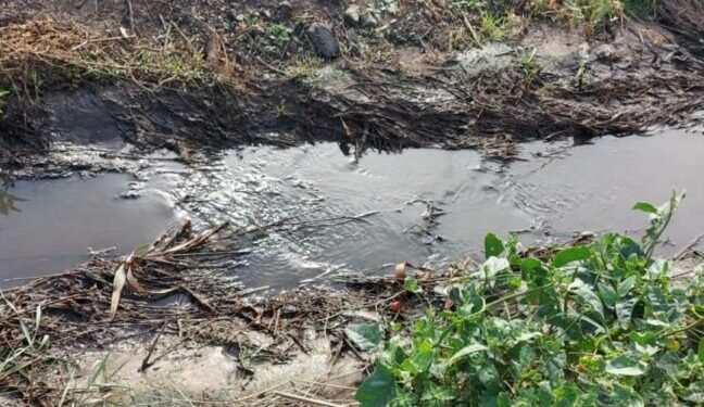 В Акермані стічні води забруднили декілька гектарів землі (фото) – Новини Одеської області