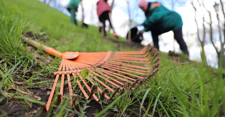 В Івано-Франківській громаді проведуть весняну толоку