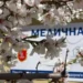 В Одесі надають безкоштовні медичні послуги для переселенців: хто і як може скористатись