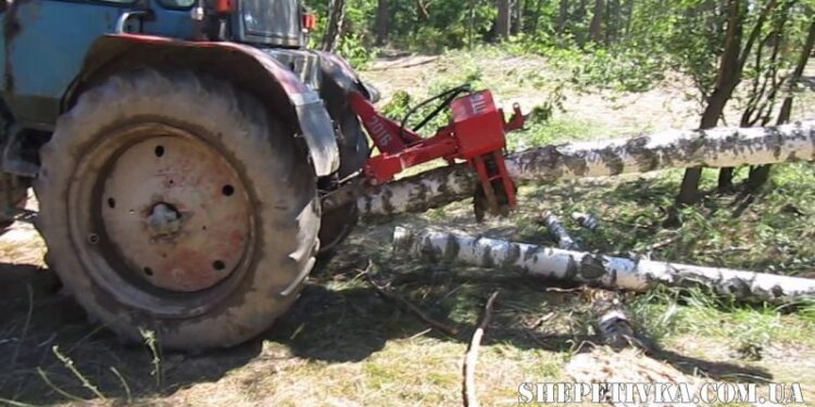 Вбило лісника, а його помічника поранило: який вирок виніс суд за вбивство через необережність —Хмельнитчина