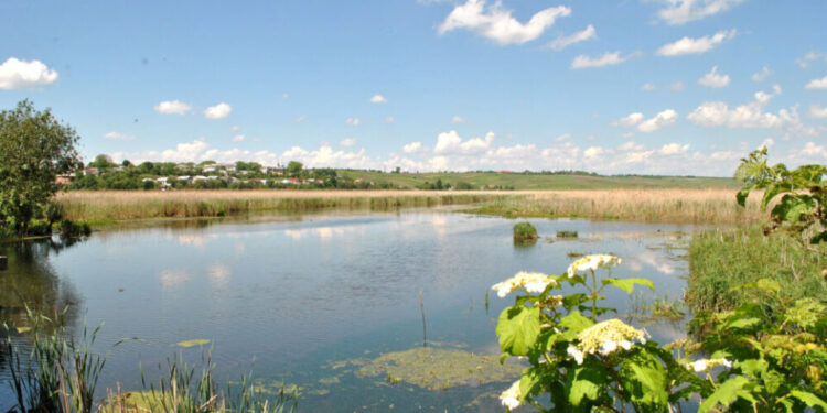 Викопав ставок у межах Серетського заказника – судитимуть жителя Тернопільського району