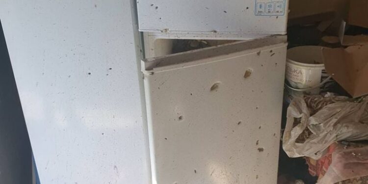 Внаслідок нічної атаки “шахедами” було пошкоджено 2 приватних будинки —Хмельнитчина