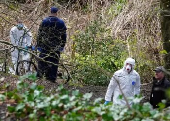 Возле спортбазы «МЮ» нашли человеческие останки