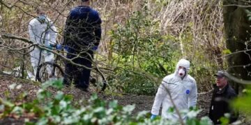 Возле спортбазы «МЮ» нашли человеческие останки