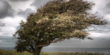 Запоріжжя знову накриє сильний вітер – попередження від метеорологів на 16 квітня | Новости Запорожья
