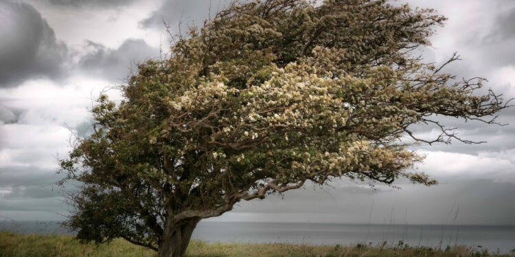 Запоріжжя знову накриє сильний вітер – попередження від метеорологів на 16 квітня | Новости Запорожья