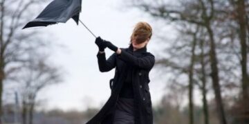 Жовтий рівень небезпеки: на Черкащині посилиться вітер