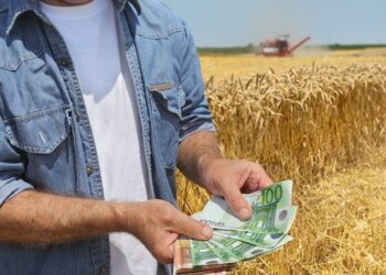 Аграріям з прифронтових і тимчасово окупованих територій пролонгують кредити – ЭКОНОМИКА