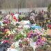 Екологи закликали запоріжців не використовувати штучні квіти на місцях погребіння | Новини Запоріжжя