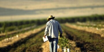 USAID анонсувало новий пакет підтримки для українських фермерів – ЭКОНОМИКА