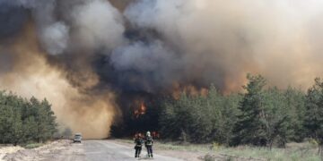 На Донеччині внаслідок ворожих обстрілів вогнем знищено 470 га лісу – ЭКОНОМИКА