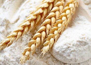 На Одещині норвезький інвестор планує створити борошномельне підприємство – ЭКОНОМИКА