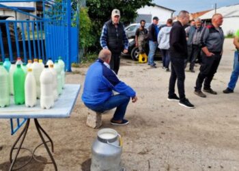 Болгарія потребує більше українського молока – ЭКОНОМИКА