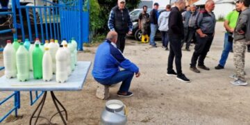 Болгарія потребує більше українського молока – ЭКОНОМИКА