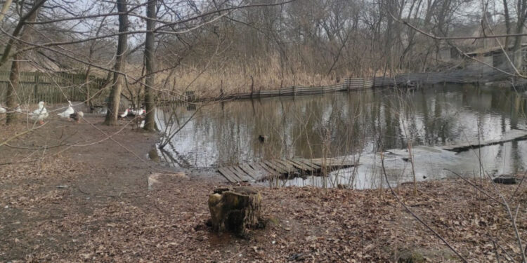 Частину річки Капустянка у Запоріжжя, самовільно захоплену для свійських птахів, повернули громадськості | Новости Запорожья