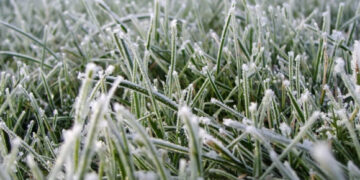 До п’яти градусів морозу: мешканців Прикарпаття попереджають про заморозки