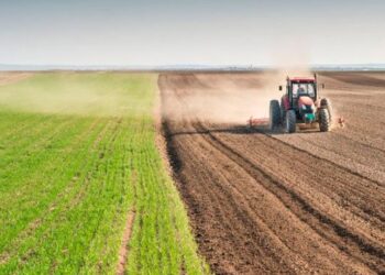 Українські аграрії засіяли близько 10 млн га ярих культур – ЭКОНОМИКА