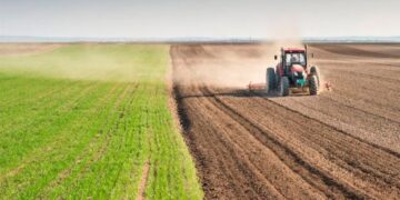 Українські аграрії засіяли близько 10 млн га ярих культур – ЭКОНОМИКА