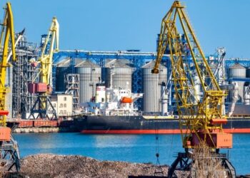 Махінації в порту Чорноморськ: посадовці отримали підозри