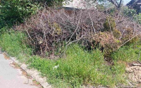 Майже 400 порушень виявило управління інспектування міськради — Новини Черкащіни