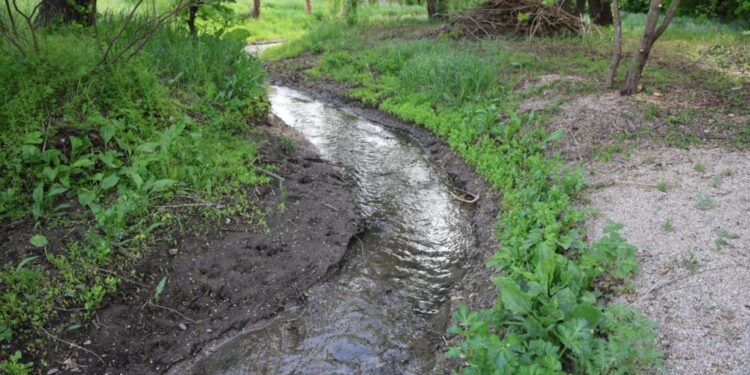 “Ми можемо бути бідні, але ми маємо бути чисті”: як у Нововоронцовці рятують степову річку – Херсон