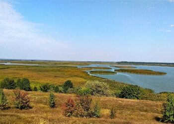 На Чорнобаївщині сільська рада незаконно передала у приватну власність землі природно-заповідного фонду