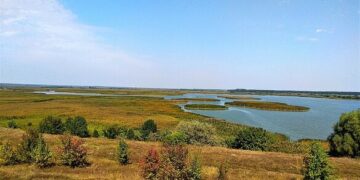 На Чорнобаївщині сільська рада незаконно передала у приватну власність землі природно-заповідного фонду