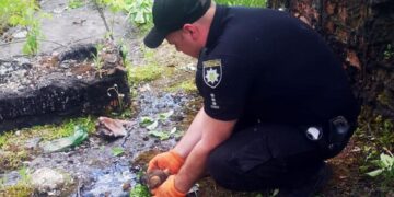 На Хмельниччині із розтопленої смоли врятували четверо цуценят —Хмельнитчина