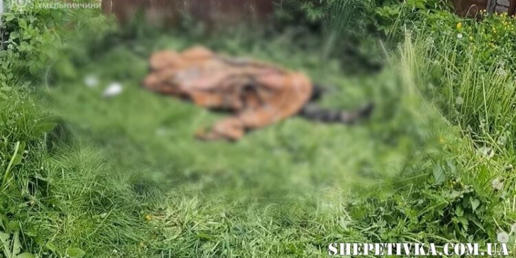 На Шепетівщині після пожеж рятувальники виявили двох загиблих —Хмельнитчина