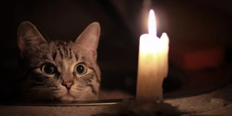 Немає світла у Монастириській громаді на Тернопільщині – діють графіки екстрених вимкнень