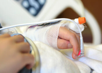 Під час виступу у цирку діти впали з висоти – лікар розповів про їхній стан  | Новости Запорожья