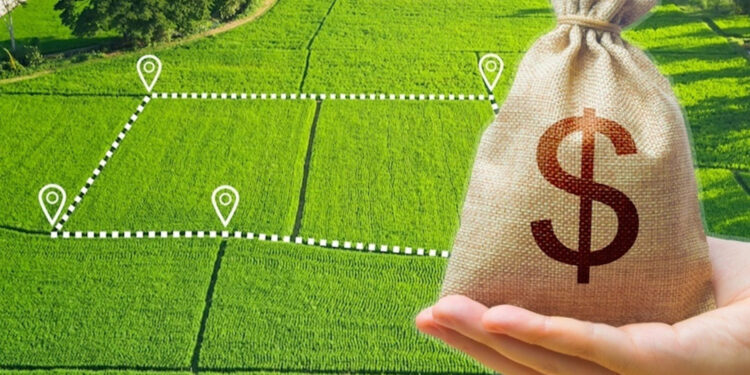 Понад сотню гектарів землі вартістю 8,2 млн грн повернуть громаді на Житомирщині | Журнал Житомира