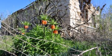 Повернутися попри все. Як живе зруйнована Білогірка   – Херсон