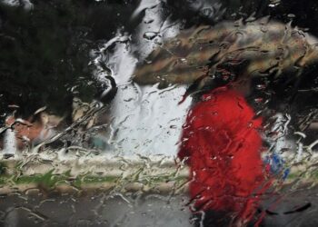 Прогноз погоди у Запоріжжі – синоптики розповіли, що чекати мешканцям регіону  | Новости Запорожья