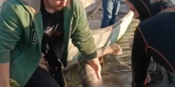 Шукали чотири доби: на Жашківщині у ставку втопився чоловік (ВІДЕО)