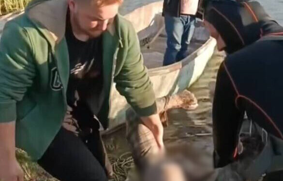 Шукали чотири доби: на Жашківщині у ставку втопився чоловік (ВІДЕО)