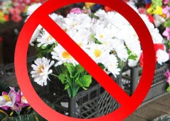 Становить загрозу екології та здоров’ю: на Уманщині влада звернулася з проханням до мешканців громади